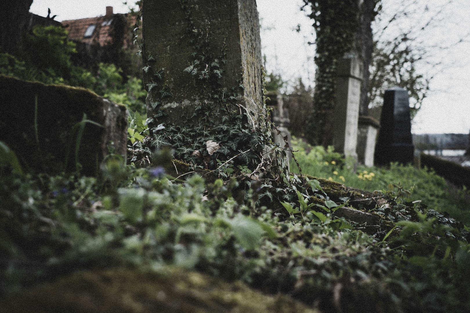 Borgholz, Jüdischer Friedhof